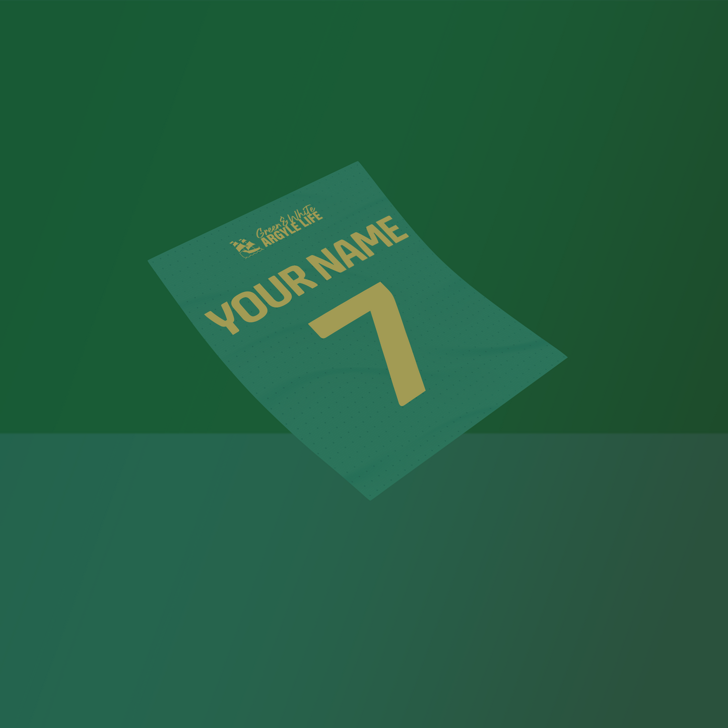 Plymouth Argyle Custom Kit Home 23/24 - Print
